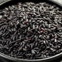 Coimbatore-Red-Black-kavuni-Rice-Wholesaler-Thanjavur