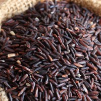 Coimbatore-Red-Black-kavuni-Rice-Wholesaler-Thanjavur